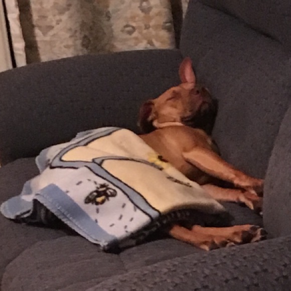 Cosmetic Bag - RESCUE ALL THE DOGS (: New - Picture 13 of 14